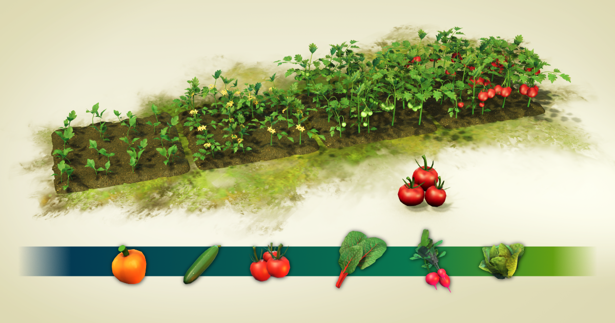 Wild Harvest: Salad Garden | 3D Plants | Unity Asset Store