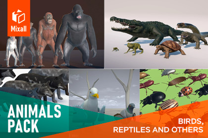 Animals pack - birds, reptiles and others