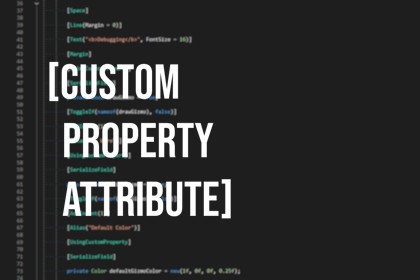 [Custom Property Attribute]