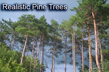 Realistic Pine Trees