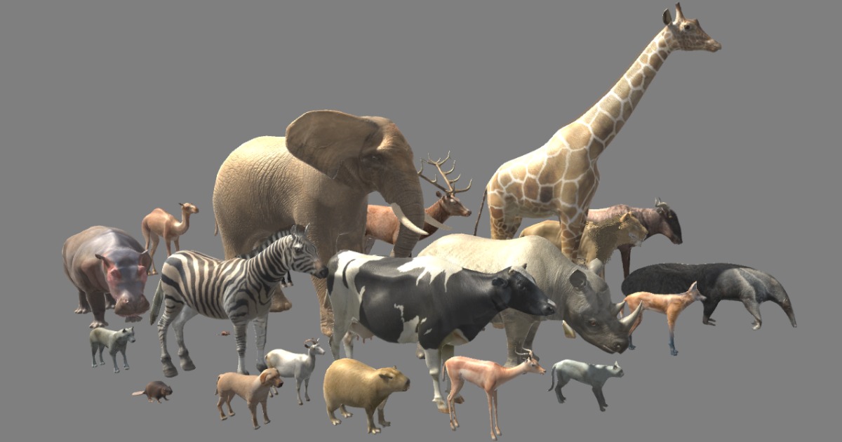 Land Mammals Pack | Characters | Unity Asset Store
