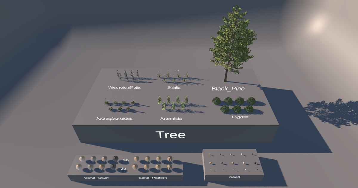 KHS - Coastal Dune in Sindu-ri, Taean