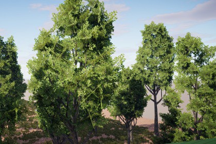 Realistic Tree Pack 10 (for HDRP)