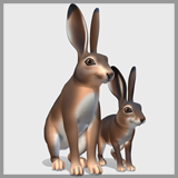 Cartoon - Hare