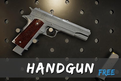 Modern Guns: Handgun