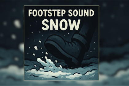 Footstep Sound Snow