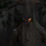 Pine Tree — Ent Collection