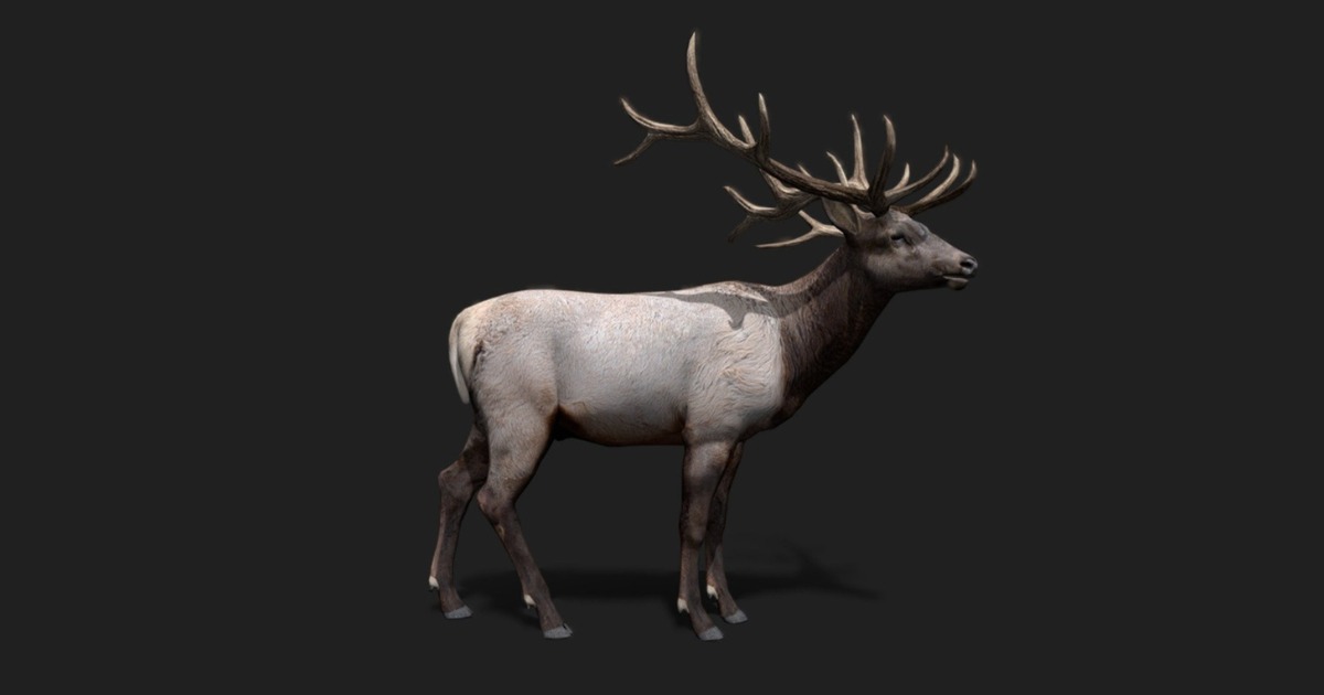 Realistic Animated Deer & Elk 2.0 | キャラクター | Unity Asset Store