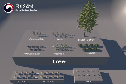 KHS - Coastal Dune in Sindu-ri, Taean