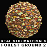 Realistic Materials - Forest Ground 2