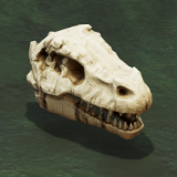 Shatter Stone: Fossils