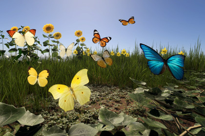 Butterflies and Foliage