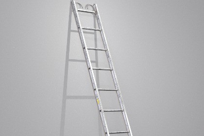 Ground Ladder