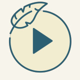 Lightweight Animator Controller