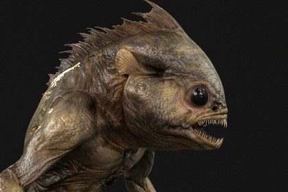 The cave troglodyte