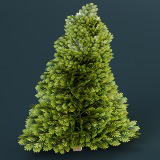 Low Poly Stylized Evergreen Trees Pack - Mini World Studio