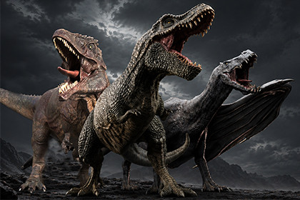 Dinosaur & Dragon 3-in-1 Collection