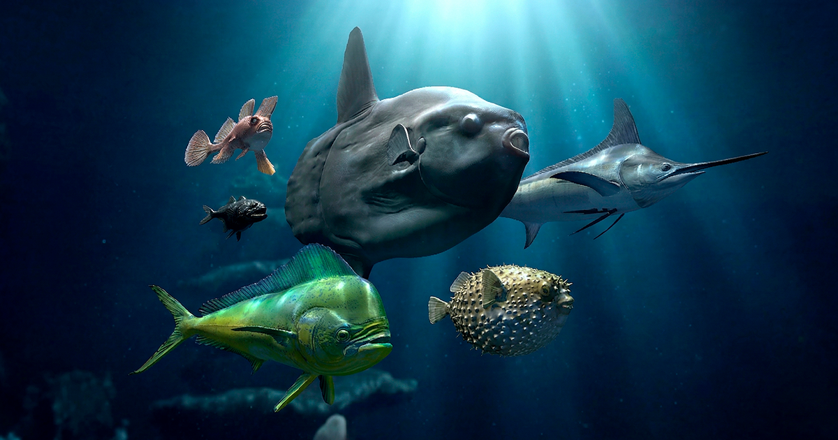 Monsters sea fish - large pack | Characters | Unity Asset Store