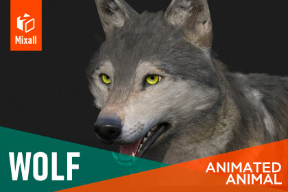 Wolf - animated animal