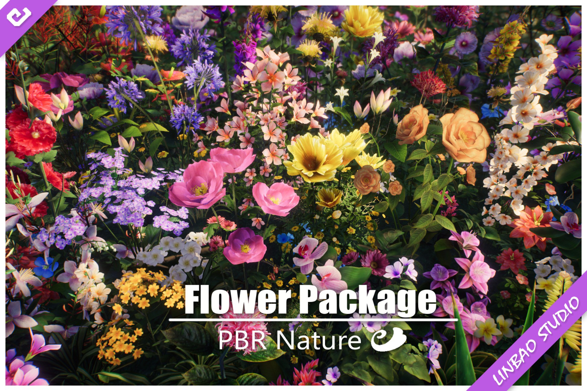 Bad Unity Flower Photo PBR Flower | 3D 꽃 | Unity Asset Store