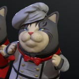 Cook Cat