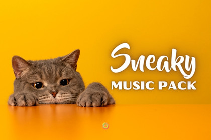 Sneaky Music Pack