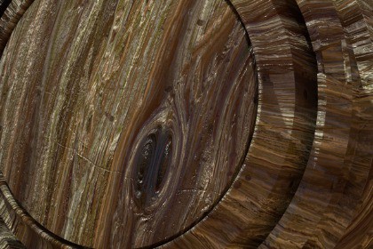 Tree Bark Texture & Material Vol. 01