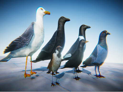 Bird Unity Texture BirdCityPackLowPoly | Characters | Unity Asset Store