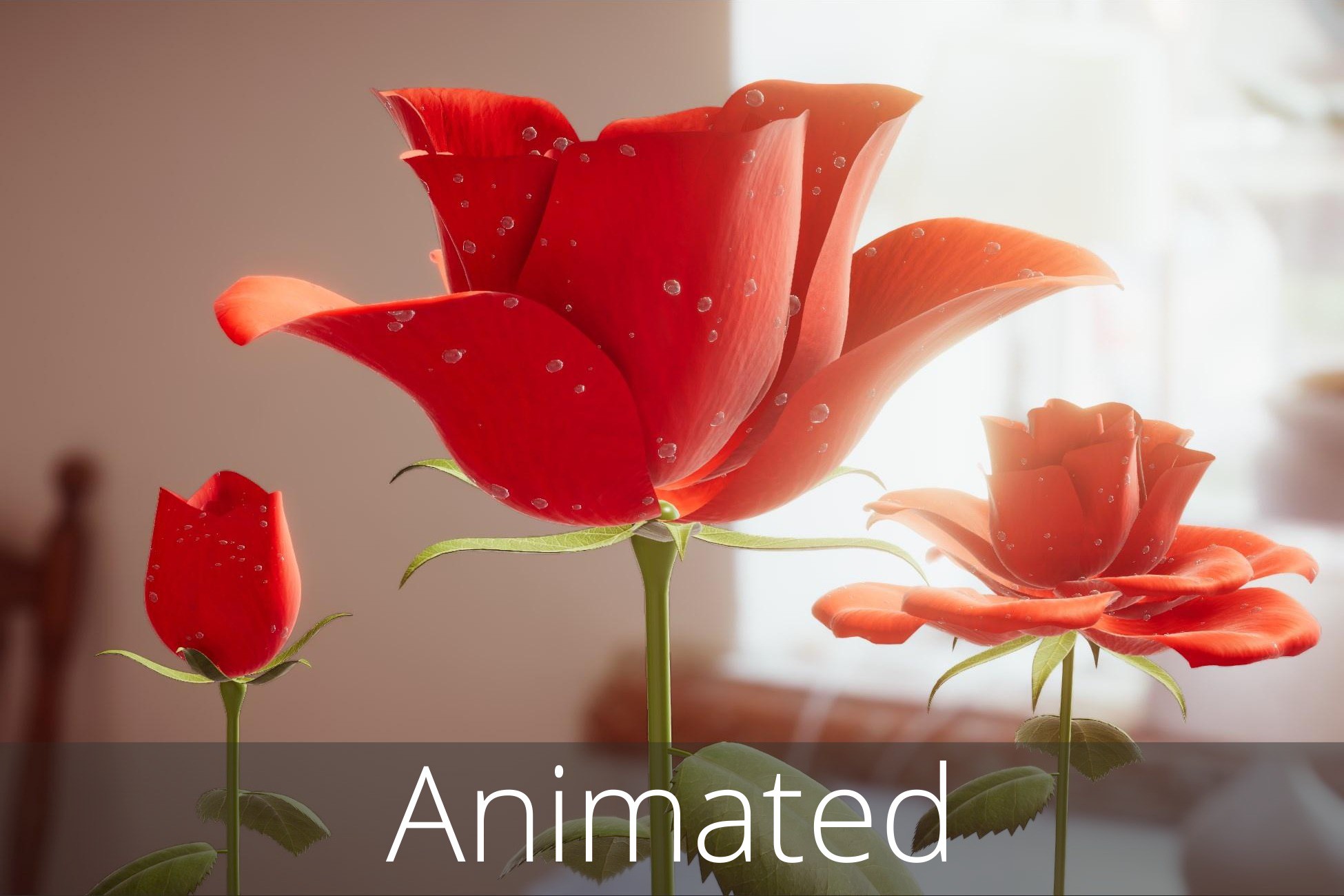 Flower Rose animated | 3D Flowers | Unity Asset Store