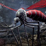 Mosquito Queen - Fantasy land Mosquitoes