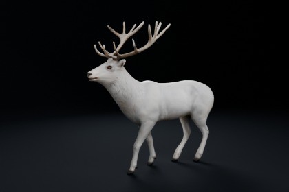 White Deer Stag – Rigged & Animated