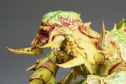 Insect