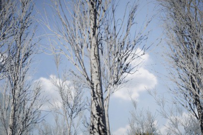 Mobile Winter Tree Pack 3