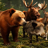 Ultrarealistic Forest Animals - Customizable Fur