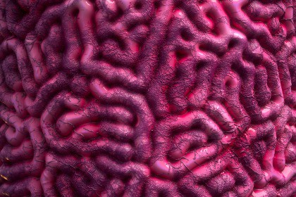 Infection Texture & Material Vol. 05