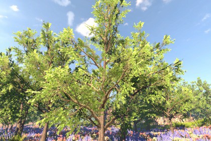 Mobile Tree Pack 26 (for URP)