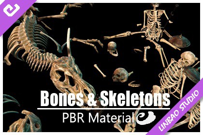 Bones & Skeletons