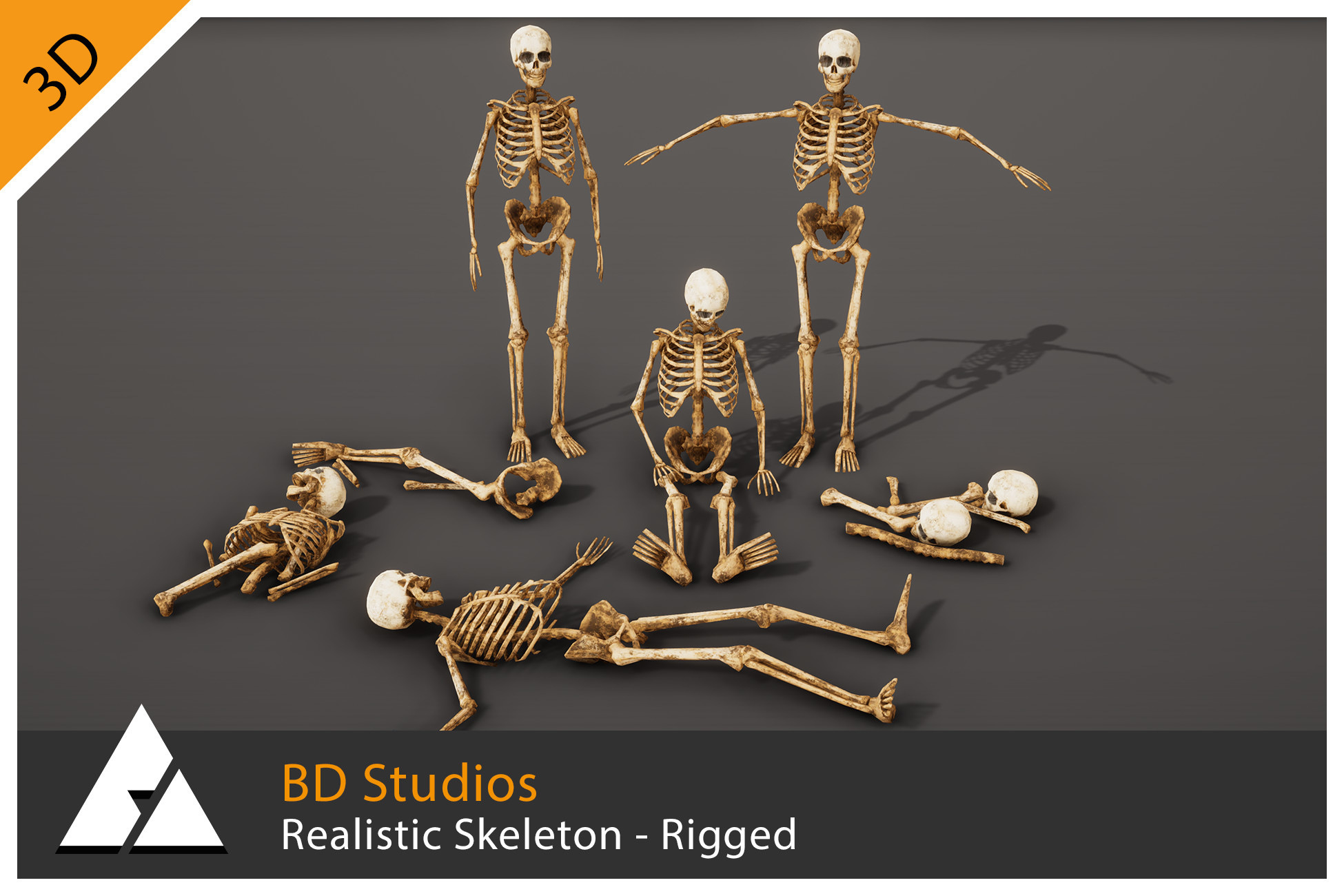 Realistic Skeleton - Rigged | Characters | Unity Asset Store