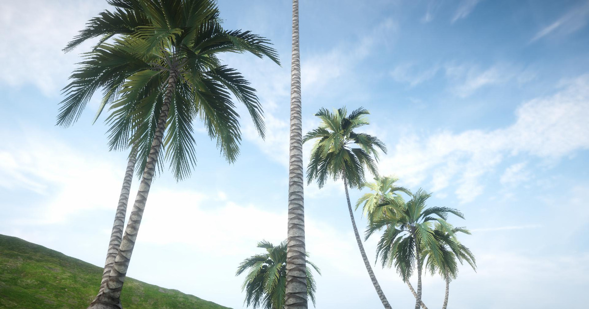URP Palm Tree (Mobile) | 3D Trees | Unity Asset Store