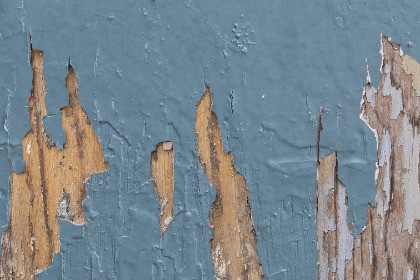 Decals of Wood Details Vol. 1: 30 Wood details photoscanned 2K