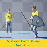 Medieval Castle Guard Animation