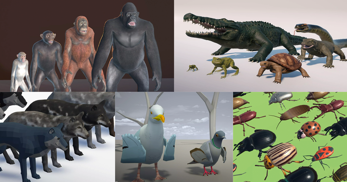 Animals pack - birds, reptiles and others | 3D Animals | Unity Asset Store
