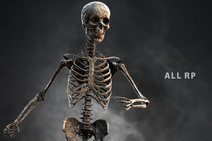 Skeleton Base