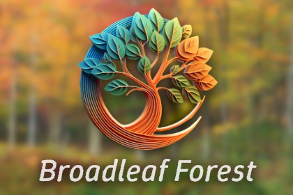 Broadleaf Forest