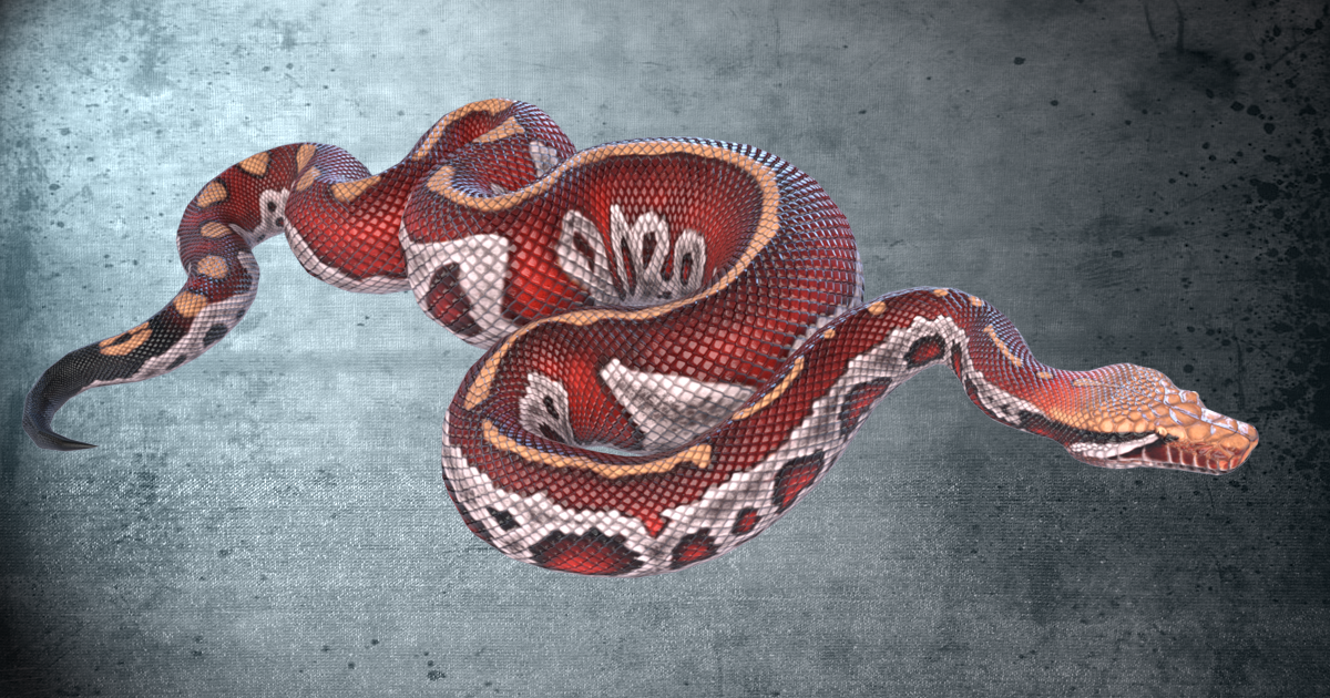 Animated Blood Python PBR | Characters | Unity Asset Store