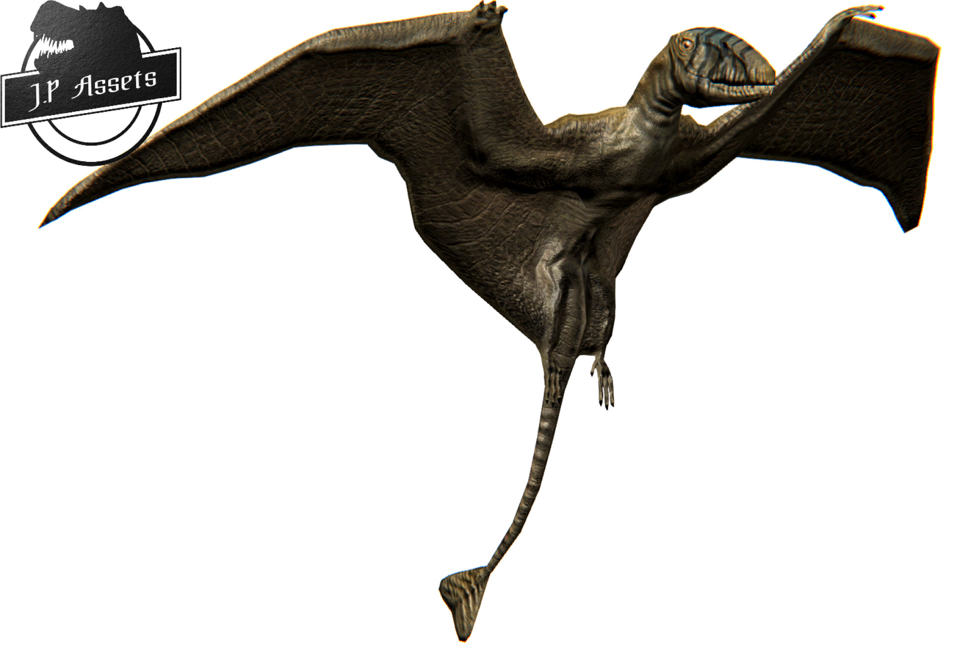 JP Dimorphodon Dinosaur | Characters | Unity Asset Store