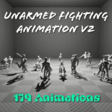 Unarmed Fighting Animation V2