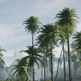Palm Tree Bundle (Mobile)
