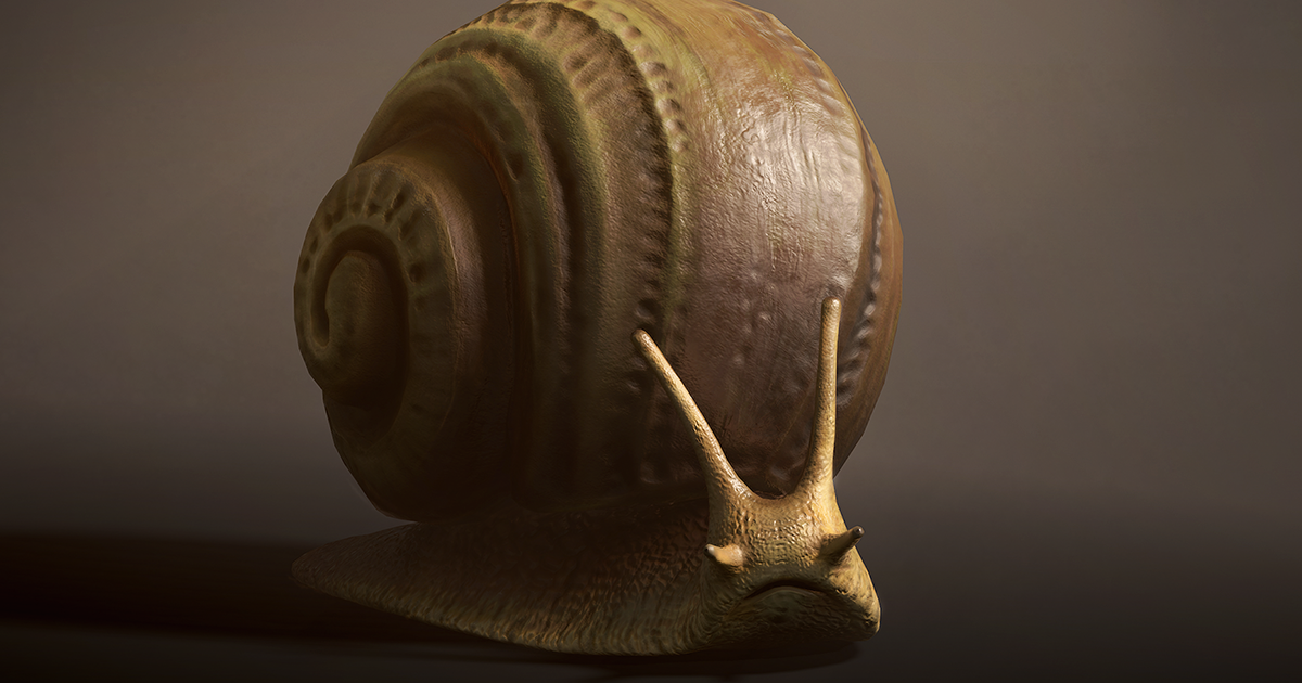 Land snail1 | Characters | Unity Asset Store