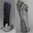 Tree Trunks, Stumps, Logs, Tiles, Rocks and Fungi Pack